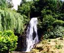 Sao Miguel, Azoren, Gorreana, Sch&ouml;ne Gr&uuml;ne Schlucht auf Sao Miguel