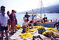 Griechenland Insel Ikaria Faehre von Samos Fischerdorf Armenistis Girona insel_ikaria Fotos Reisebericht