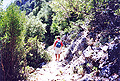 Griechenland Insel samos Faehre von Samos Fischerdorf Kokkari insel_samos Fotos Reisebericht
