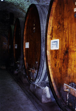 Italien, Italy, Roma, Toscana, Weinf&auml;sser in Castelina in Chianti