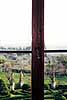 Italien, Italy, Roma, Toscana, Siena, Castelnuovo, Ausblick aus dem Fenster der Villa Catignano in Castelnuovo