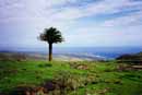 Kanarische Inseln, Lanzarote, Tequise 