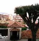 Kanarische Inseln, Teneriffa