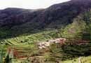 Kanarische Inseln, Teneriffa, Masca