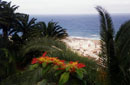 Kanarische Inseln, Teneriffa,Puerto de la Cruz