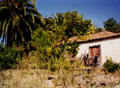 Kanarisch Inseln, La Palma, Tijarafe,Fotos