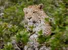 Fotogalerien:S&uuml;dafrika, Flores, Indonesien, Tortola, Kanarische Inseln, Griechenland, Samos, Ikaria, Kefalonia, Britisch Virgin Island, Philippinen, Florida, New York, USA, Fotos, Reisen, Reiseinformationen, Unterkunft, Urlaub, Fernweh