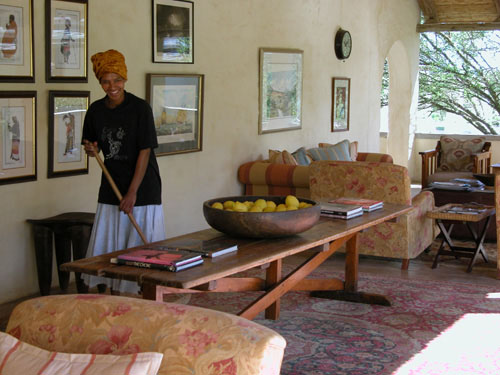 S&uuml;dafrika, Port Elisabeth, Big Five,Addo National Par, Shamwari Game Reserve, Addo, Elephant House