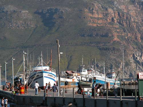 S&uuml;dafrika, Stellenbosch, Kapstadt, Cape Town, Western Cape Kirstenbosch, Waterfront, Tafelberg, Robben Island, Zandberg, Weinfarm, Cape of Good Hope