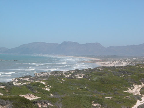 S&uuml;dafrika, Stellenbosch, Kapstadt, Cape Town, Western Cape Kirstenbosch, Waterfront, Tafelberg, Robben Island, Zandberg, Weinfarm, Cape of Good Hope