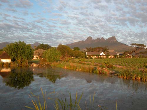 S&uuml;dafrika, Stellenbosch, Kapstadt, Cape Town, Western Cape Kirstenbosch, Waterfront, Tafelberg, Robben Island, Zandberg, Weinfarm, Cape of Good Hope