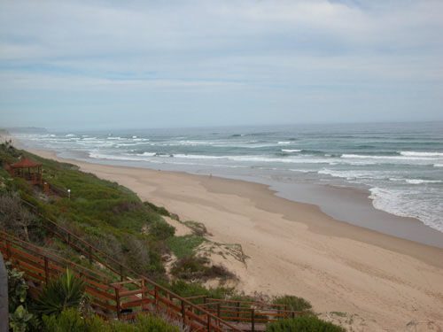 S&uuml;dafrika, Western Cape, Garden Route, Wilderness, Knysna, Plattenberg Bay, Oudtshoorn, Strau&szlig;enfarman