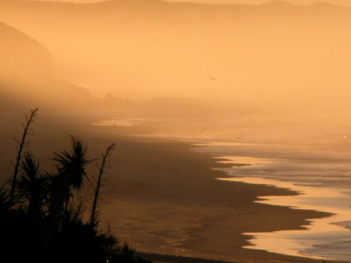 S&uuml;dafrika, Western Cape, Garden Route, Wilderness, Knysna, Plattenberg Bay, Oudtshoorn, Strau&szlig;enfarman