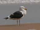 Am Strand in Wilderness auf der Garden Route