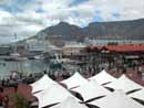 South Africa,S&uuml;dafrika,Cape Town, Kapstadt, Reisebericht, Table Mountain, Andros G&auml;stehaus in Kapstadt, Cape Town Waterfront, The Castle of Good Hope, Chapman's Peak Drive, Buitenverwachting in Constantia, Cape Town Constantia, Constantia, Klein Constantia, Simon's Town, Boulders Beach, Pinguine