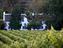 South Africa,S&uuml;dafrika,Cape Town, Kapstadt, Reisebericht, Table Mountain, Andros G&auml;stehaus in Kapstadt, Cape Town Waterfront, The Castle of Good Hope, Chapman's Peak Drive, Buitenverwachting, Buitenverwachting in Constantia, Restaurant, Cape Town Constantia, Constantia, Klein Constantia, Weingut, Weing&uuml;ter, Winelands, Simon's Town, Boulders Beach, Pinguine