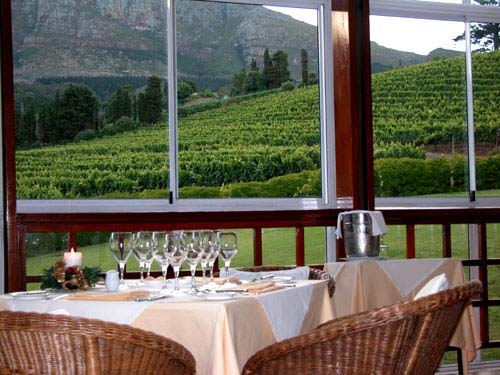 South Africa,S&uuml;dafrika, Reisebericht, Fotos, Cape Town, Kapstadt, Table Mountain, Andros G&auml;stehaus in Kapstadt, Cape Town Waterfront, The Castle of Good Hope, Chapman's Peak Drive, Buitenverwachting, Buitenverwachting in Constantia, Restaurant, Cape Town Constantia, Constantia, Klein Constantia, Weingut, Weing&uuml;ter, Winelands, Simon's Town, Boulders Beach, Pinguine
