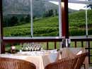 South Africa,S&uuml;dafrika,Cape Town, Kapstadt, Reisebericht, Table Mountain, Andros G&auml;stehaus in Kapstadt, Cape Town Waterfront, The Castle of Good Hope, Chapman's Peak Drive, Buitenverwachting, Buitenverwachting in Constantia, Restaurant, Cape Town Constantia, Constantia, Klein Constantia, Weingut, Weing&uuml;ter, Winelands, Simon's Town, Boulders Beach, Pinguine