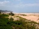 South Africa,S&uuml;dafrika, KwaZulu Natal, Reisebericht, St.Lucia, St.Lucia Wetland Park, Wetlands, Beach, Cape Vidal, Krokodile, Hippos, Flusspferde, Mtubatuba, Maputaland, Wendy's Country Lodge, Hluhluwe Game Reserve, Hluhluwe - Umfolozi Park, Umfolozi Game Reserve, L&ouml;win, Warzenschweine, Impala, Giraffe, B&uuml;ffel, Zebra, Spitzmaulnashorn, Big Five, Sodwana Bay