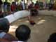 Thailand, Phuket, Chalong Bay, Koh Lone, Baan Mai Resort, Cockfight 
