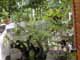 Thailand, Phuket, Chalong Bay, Koh Lone, Baan Mai Resort, Villa