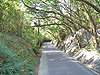 Wanderung um den Victoria Peak