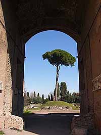  Palatin Palasth&uuml;gel Rom Romulus und Remus Mythos und Geschichte Rom Colosseo Kolosseum im alten Rom Foruma Romanum