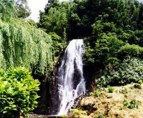 São Miguel, Azoren, Gorreana, Schöne Grüne Schlucht auf São Miguel