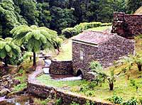 Wandern auf den Azoren. Insel São Miguel auf den Azoren. Azoren Urlaub, Azoren Portugal  