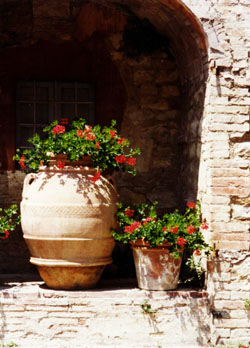  Villa Catignano, ein mediterranes Stilleben 