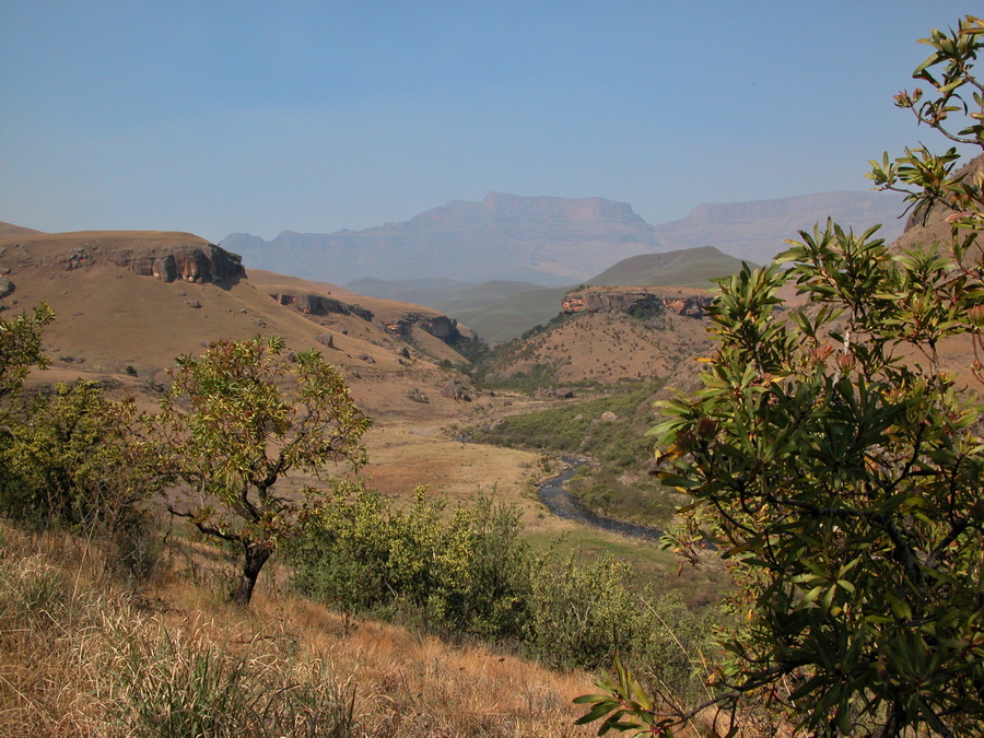 Giants Castle Nature Reserve - Drakensberge Südafrika