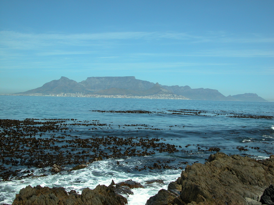 Robben Island - Kapstadt - Bootsausflug