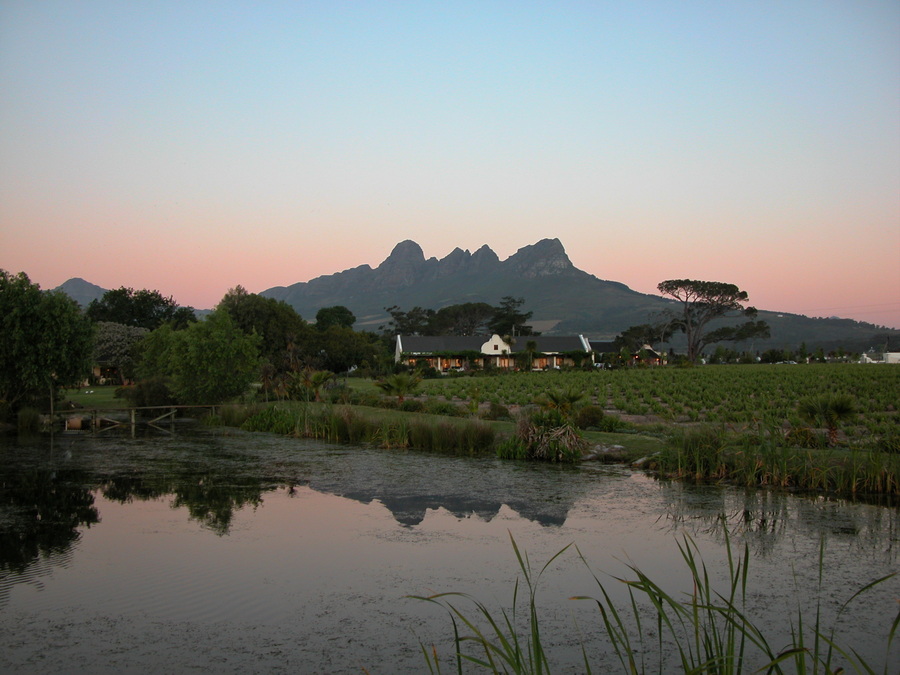 Gästehaus auf einer Weinfarm in Stellenbosch/Somerset - Ausflüge nach Kapstadt - Reisebericht