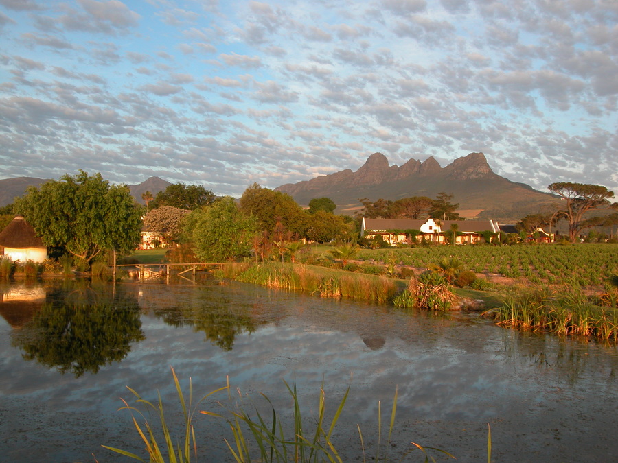 Gästehaus auf einer Weinfarm in Stellenbosch/Somerset - Ausflüge nach Kapstadt - Reisebericht