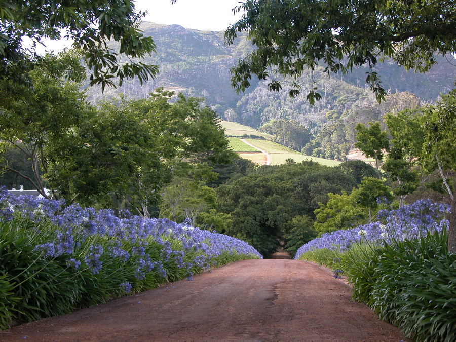 4 Wochen Südafrika - KwaZulu-Natal und Westkap Provinz