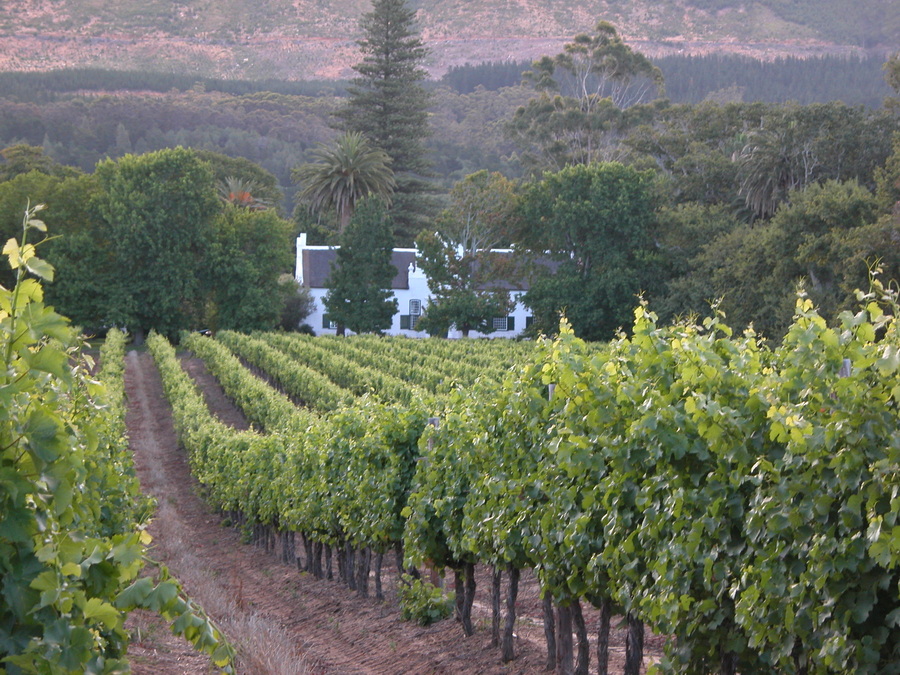 Constantia Valley in Kapstadt - die ältesten Weingüter des Kaps - Südafrika 
