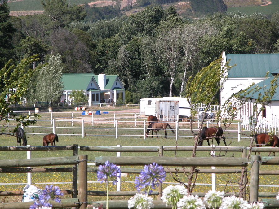 La Dauphine Guest Farm  - Franschhoek - Südafrika