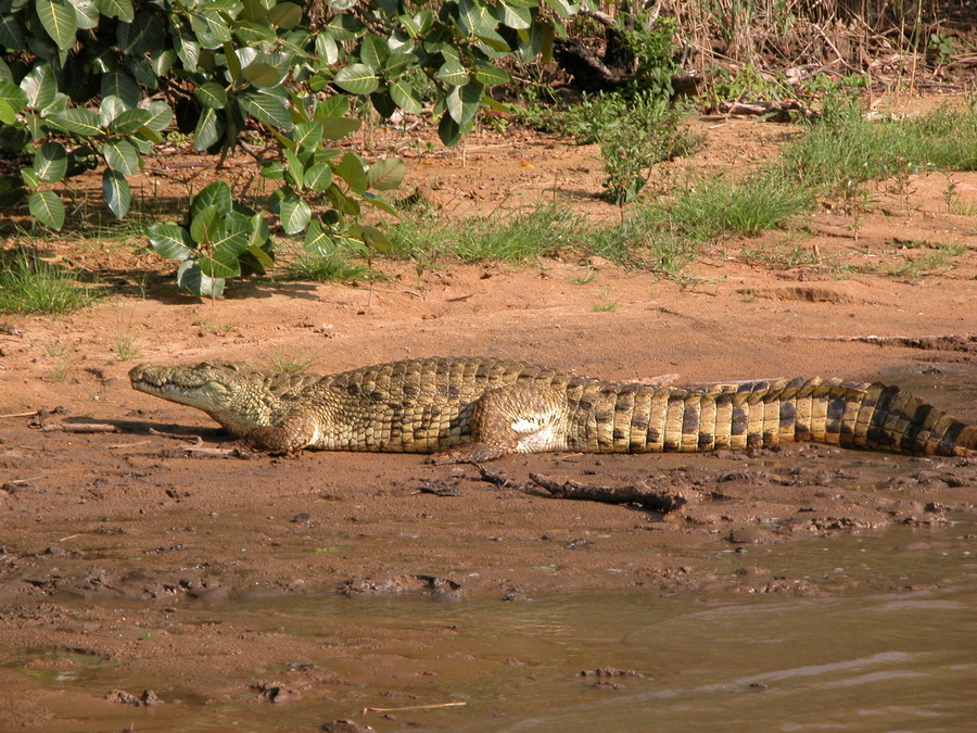 Bootstour im iSimangaliso Wetland Park - S¨dafrika