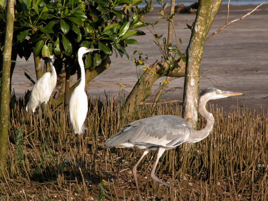 Bootstour im iSimangaliso Wetland Park - S¨dafrika