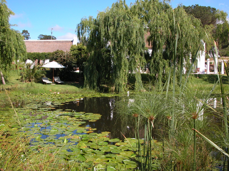 Swellendam und Route 62 - Südafrika Roadtrip - Reisebericht