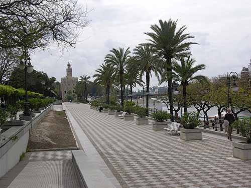 Sevilla - Am Rio Guadalquivir mit Blick auf den Tore del Oro