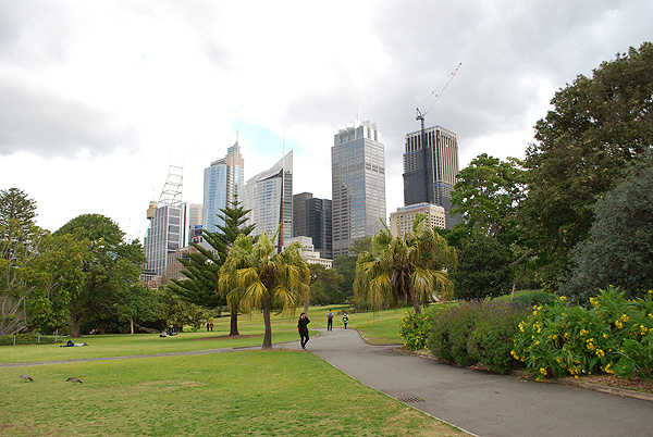 Sydney-Royal Botanic Gardens