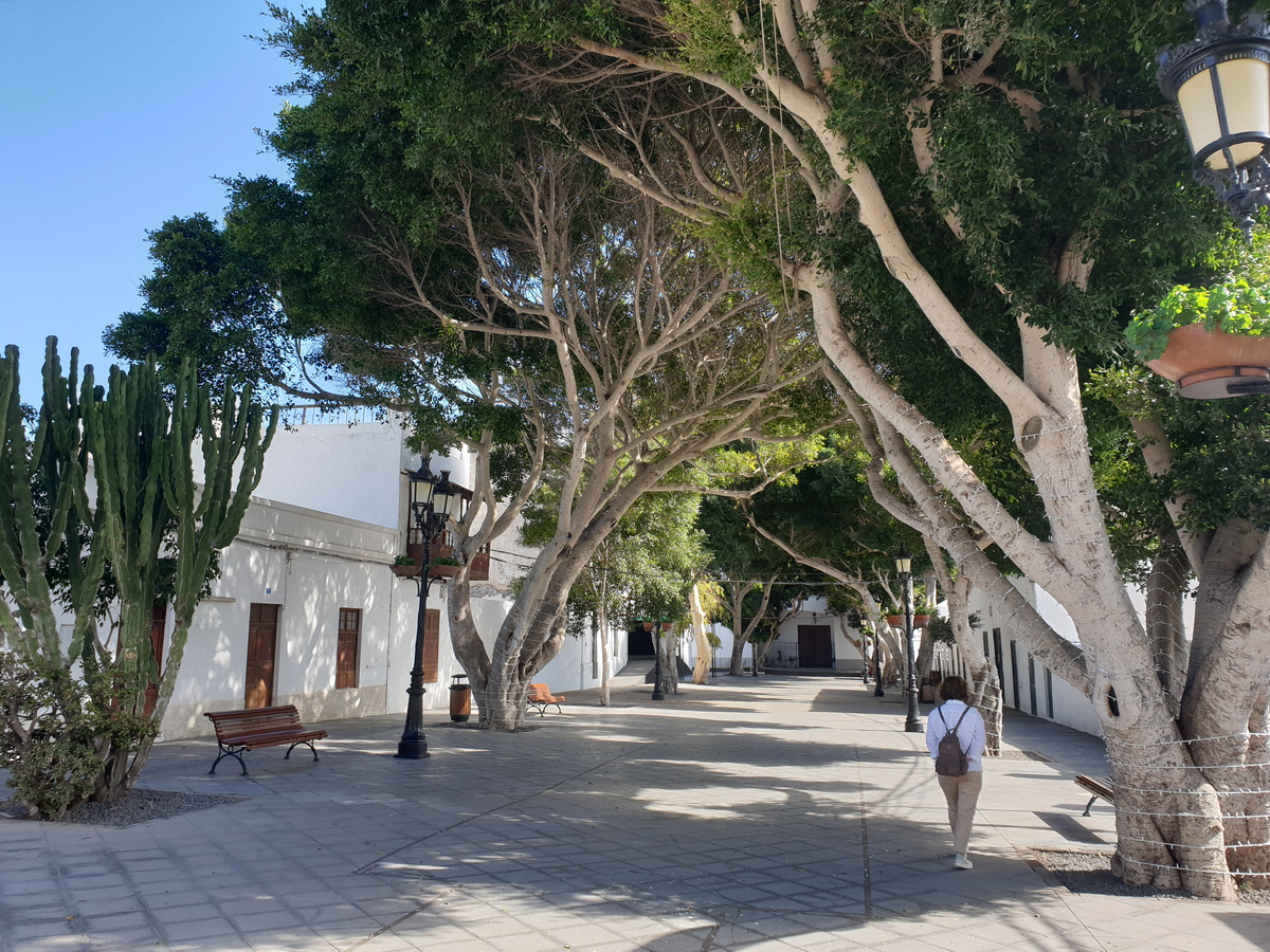 Haria, Lanzarote