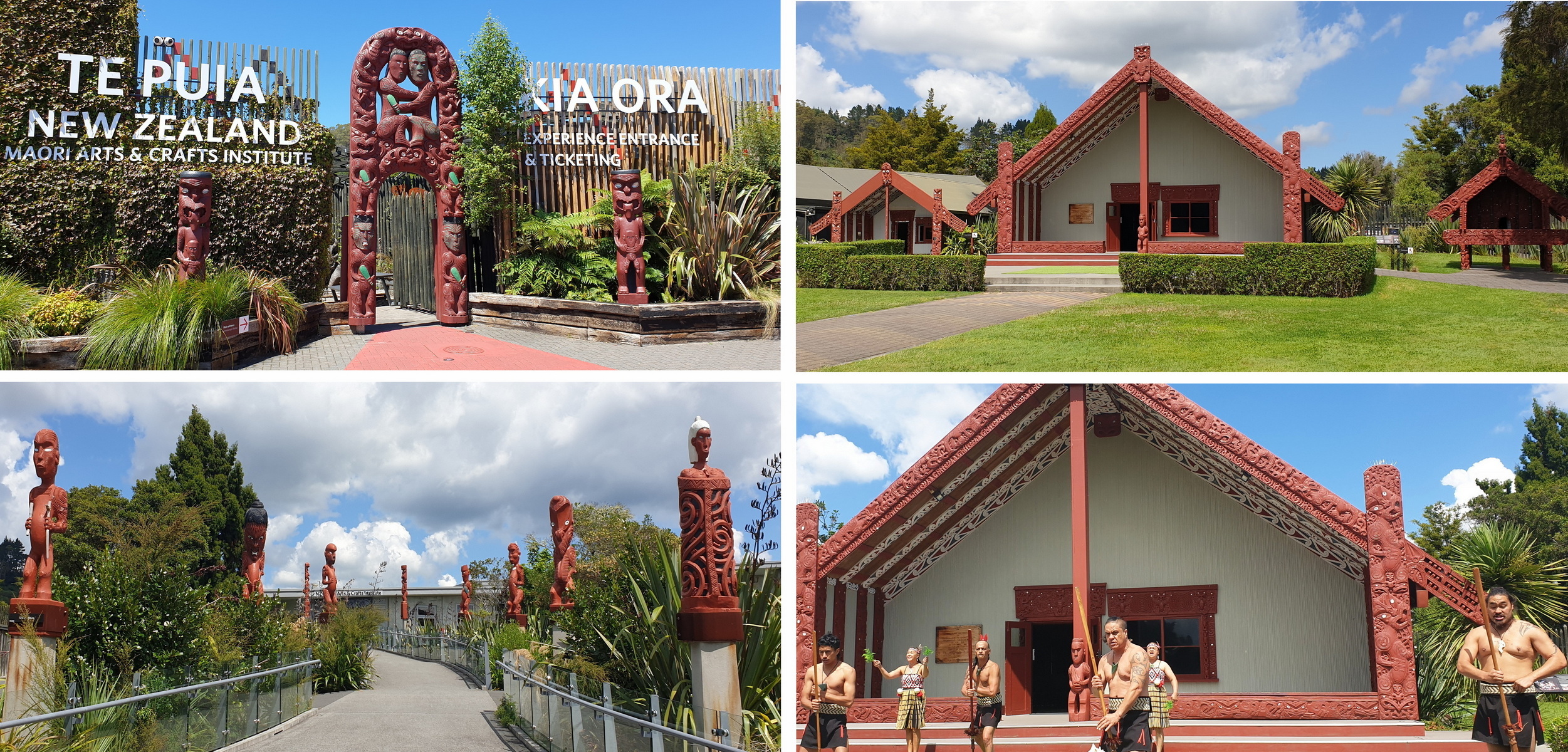 Mãori-Erlebniss in Te Puia