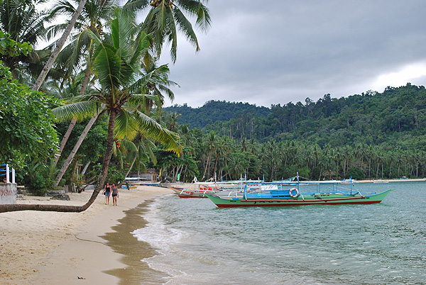 Philippinen - Reisebericht - Insel Bohol - Insel Palawan