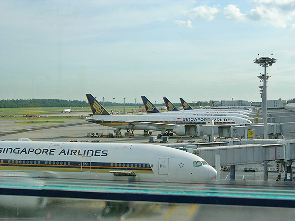 Singapur Sehenswürdigkeiten - Städtereise