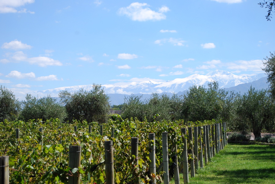 Mendoza Weinregion - Argentinien