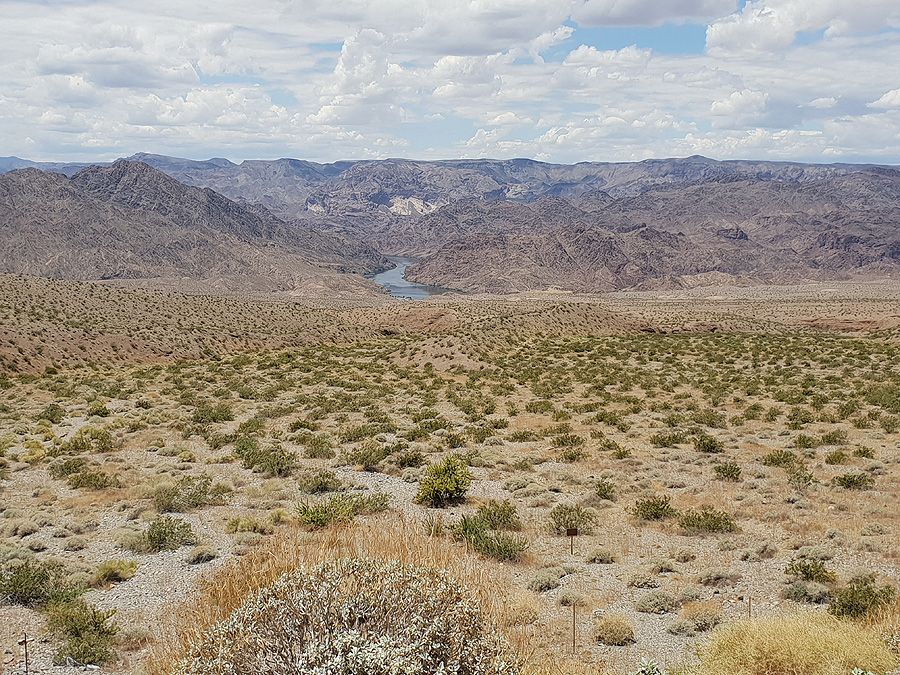 Grand Canyon - USA Reisebericht