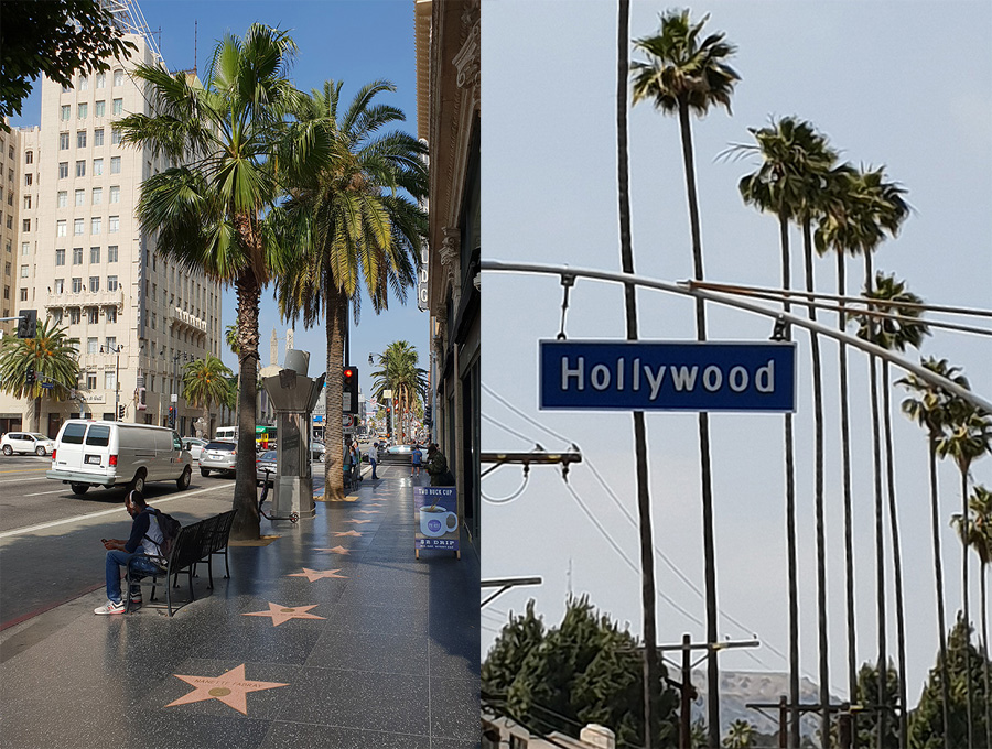 Los Angeles Reisebericht