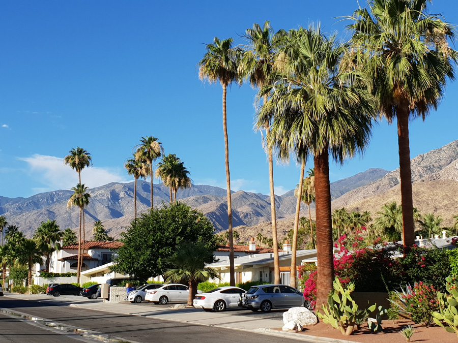 Palm Springs - Reisebericht